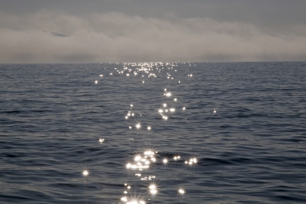 bild 03 - (c) reinhard pattke.jpg